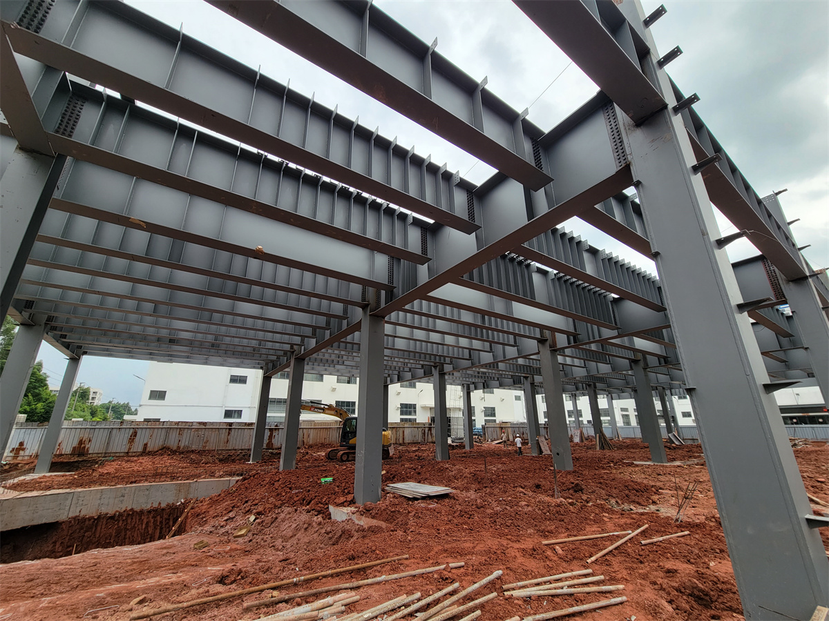 Atelier résistant d'emballage de structure métallique de construction d'extension